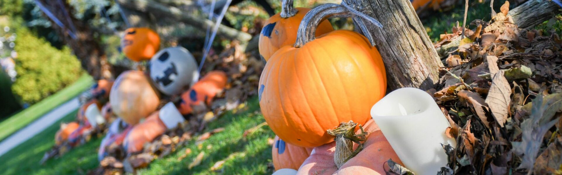 citrouilles, décoration halloween