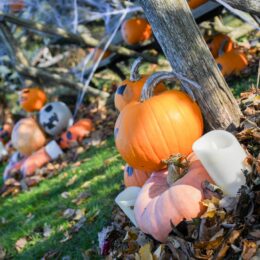 citrouilles, décoration halloween