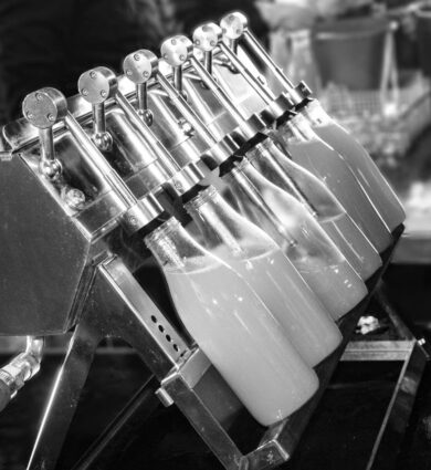 jus d epommes, mise en bouteille