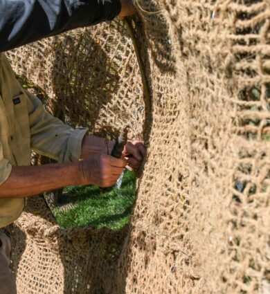 Le Gardien des Jardins de Brocéliande