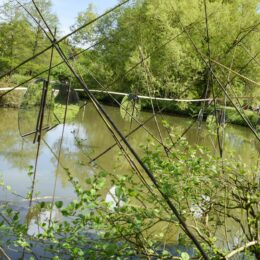 miroirs, land art, œuvre monumentale sur un étang