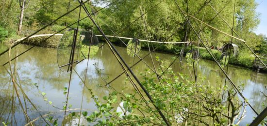 miroirs, land art, œuvre monumentale sur un étang