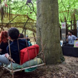 songe en sous-bois, photo sieste musicale, Bombe platine