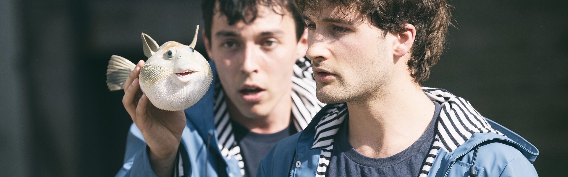 Houl, spectacle, poisson