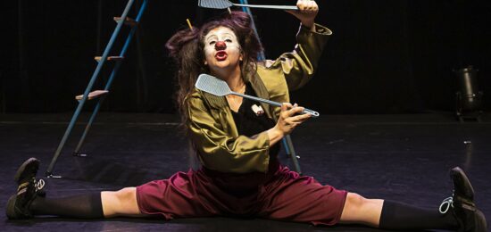 spectacle les mouches, photo fabien debrabandere