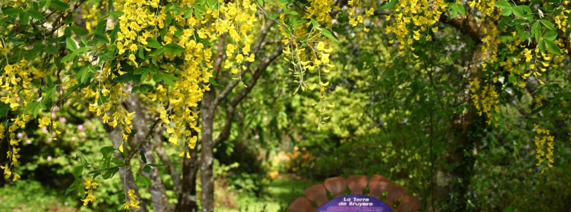 les Jardins de Brocéliande
